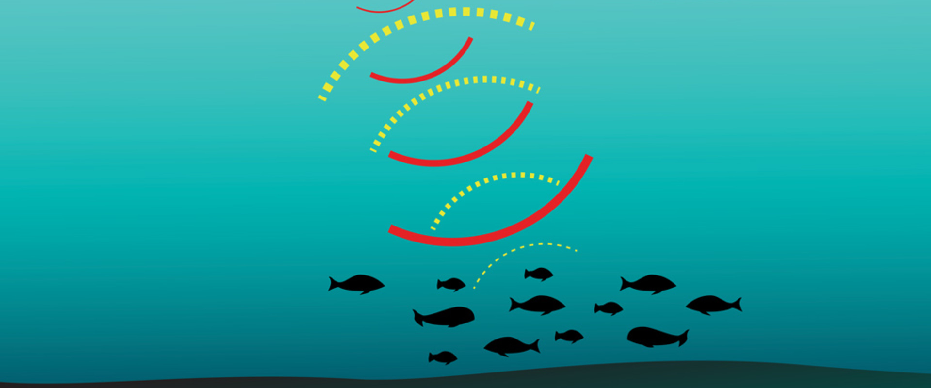 Understanding Fish Finders and Depth Sounders for Better Boating Experiences