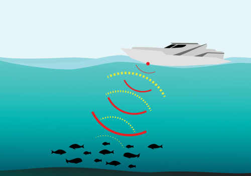Understanding Fish Finders and Depth Sounders for Better Boating Experiences